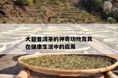 大益普洱茶的神奇功效及其在健康生活中的应用