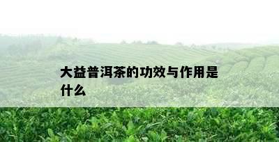 大益普洱茶的功效与作用是什么