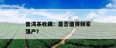 普洱茶收藏：是否值得倾家荡产？