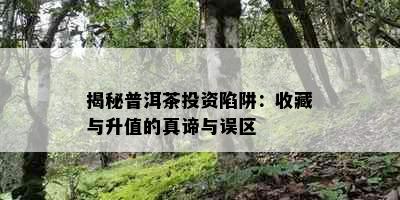 揭秘普洱茶投资陷阱：收藏与升值的真谛与误区