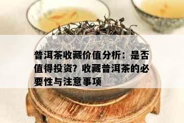 普洱茶收藏价值分析：是否值得投资？收藏普洱茶的必要性与注意事项