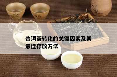 普洱茶转化的关键因素及其更佳存放方法