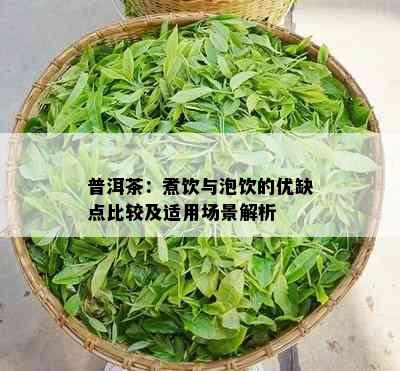 普洱茶：煮饮与泡饮的优缺点比较及适用场景解析