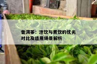 普洱茶：泡饮与煮饮的优劣对比及适用场景解析