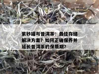 紫砂罐与普洱茶：更佳存储解决方案？如何正确保养并延长普洱茶的保质期？