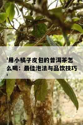 '用小橘子皮包的普洱茶怎么喝：更佳泡法与品饮技巧'