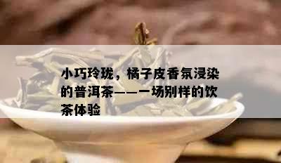 小巧玲珑，橘子皮香氛浸染的普洱茶——一场别样的饮茶体验