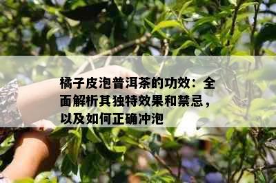 橘子皮泡普洱茶的功效：全面解析其独特效果和禁忌，以及如何正确冲泡