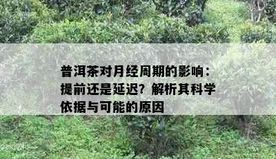 普洱茶对月经周期的影响：提前还是延迟？解析其科学依据与可能的原因