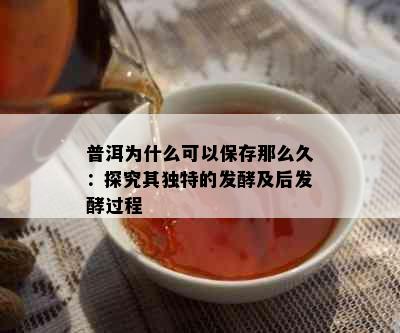 普洱为什么可以保存那么久：探究其独特的发酵及后发酵过程