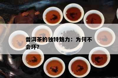 普洱茶的独特魅力：为何不会坏？