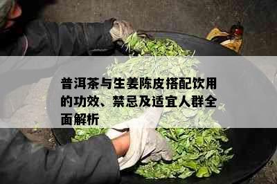 普洱茶与生姜陈皮搭配饮用的功效、禁忌及适宜人群全面解析