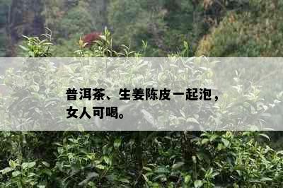 普洱茶、生姜陈皮一起泡，女人可喝。