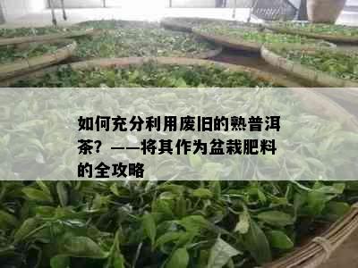 如何充分利用废旧的熟普洱茶？——将其作为盆栽肥料的全攻略