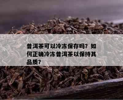 普洱茶可以冷冻保存吗？如何正确冷冻普洱茶以保持其品质？