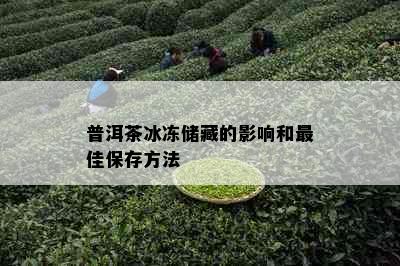 普洱茶冰冻储藏的影响和更佳保存方法