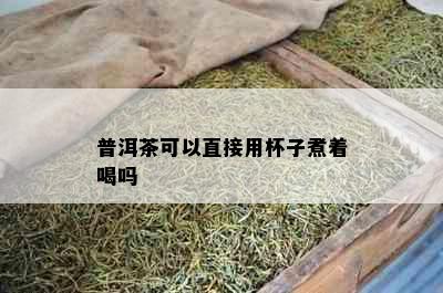 普洱茶可以直接用杯子煮着喝吗