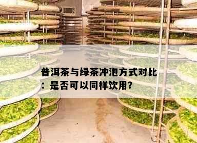 普洱茶与绿茶冲泡方式对比：是否可以同样饮用？