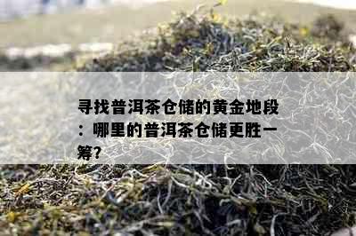 寻找普洱茶仓储的黄金地段：哪里的普洱茶仓储更胜一筹？