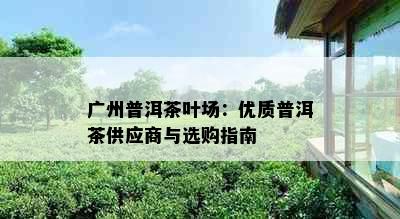 广州普洱茶叶场：优质普洱茶供应商与选购指南