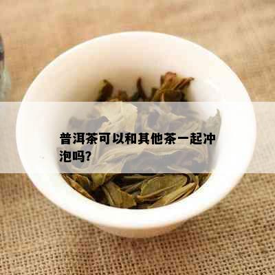 普洱茶可以和其他茶一起冲泡吗？