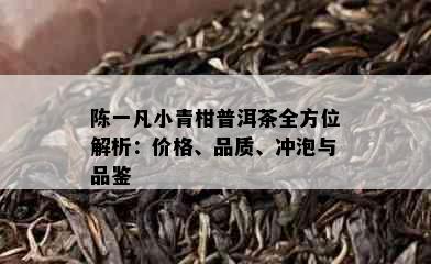 陈一凡小青柑普洱茶全方位解析：价格、品质、冲泡与品鉴