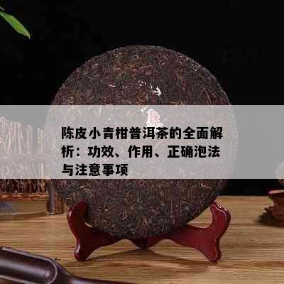 陈皮小青柑普洱茶的全面解析：功效、作用、正确泡法与注意事项