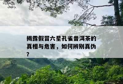 揭露假冒六星孔雀普洱茶的真相与危害，如何辨别真伪？