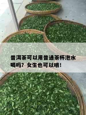 普洱茶可以用普通茶杯泡水喝吗？女生也可以哦！