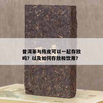 普洱茶与陈皮可以一起存放吗？以及如何存放和饮用？