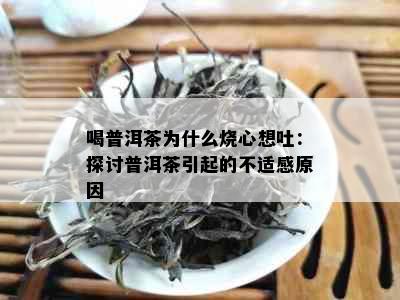 喝普洱茶为什么烧心想吐：探讨普洱茶引起的不适感原因