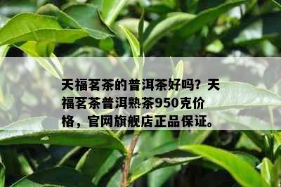 天福茗茶的普洱茶好吗？天福茗茶普洱熟茶950克价格，官网旗舰店正品保证。