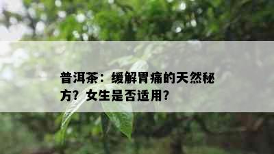 普洱茶：缓解胃痛的天然秘方？女生是否适用？