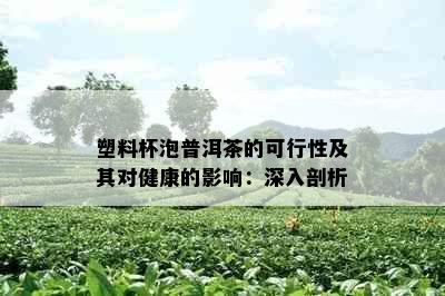 塑料杯泡普洱茶的可行性及其对健康的影响：深入剖析