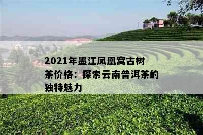 2021年墨江凤凰窝古树茶价格：探索云南普洱茶的独特魅力