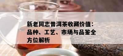 新老同志普洱茶收藏价值：品种、工艺、市场与品鉴全方位解析