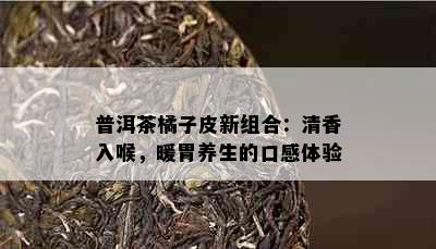 普洱茶橘子皮新组合：清香入喉，暖胃养生的口感体验