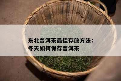 东北普洱茶更佳存放方法：冬天如何保存普洱茶