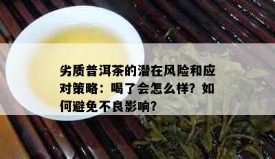 劣质普洱茶的潜在风险和应对策略：喝了会怎么样？如何避免不良影响？