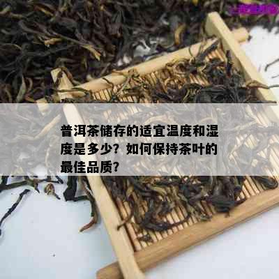 普洱茶储存的适宜温度和湿度是多少？如何保持茶叶的更佳品质？