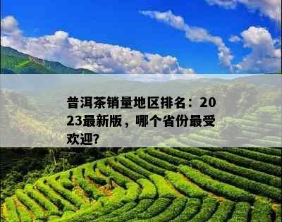 普洱茶销量地区排名：2023最新版，哪个省份更受欢迎？