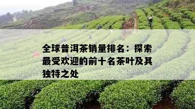 全球普洱茶销量排名：探索更受欢迎的前十名茶叶及其独特之处