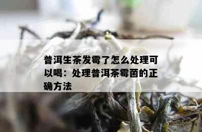 普洱生茶发霉了怎么处理可以喝：处理普洱茶霉菌的正确方法