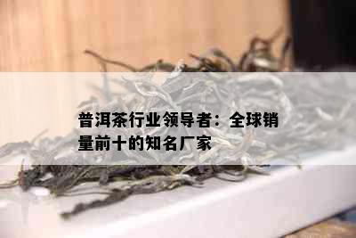 普洱茶行业领导者：全球销量前十的知名厂家