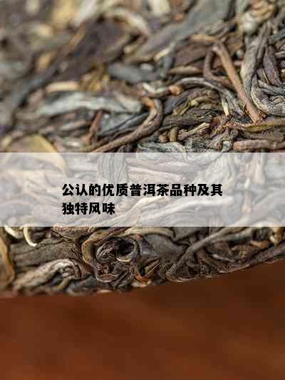 公认的优质普洱茶品种及其独特风味