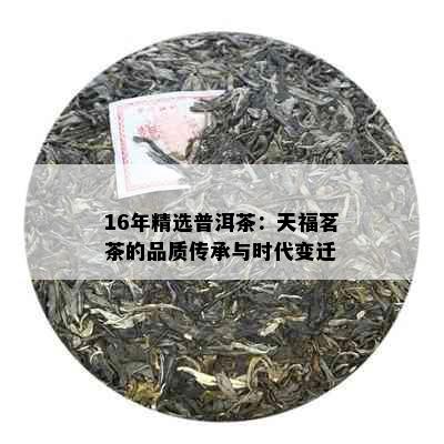 16年精选普洱茶：天福茗茶的品质传承与时代变迁