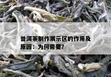 普洱茶制作展示区的作用及原因：为何需要？