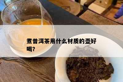 煮普洱茶用什么材质的壶好喝？