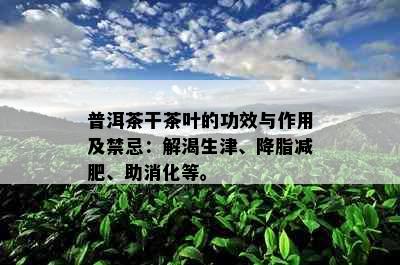 普洱茶干茶叶的功效与作用及禁忌：解渴生津、降脂减肥、助消化等。