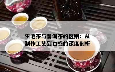 生毛茶与普洱茶的区别：从制作工艺到口感的深度剖析